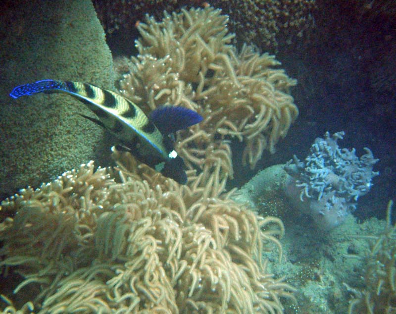 2012_0928Australia010035