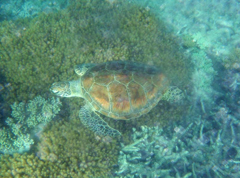 2012_0929Australia010064