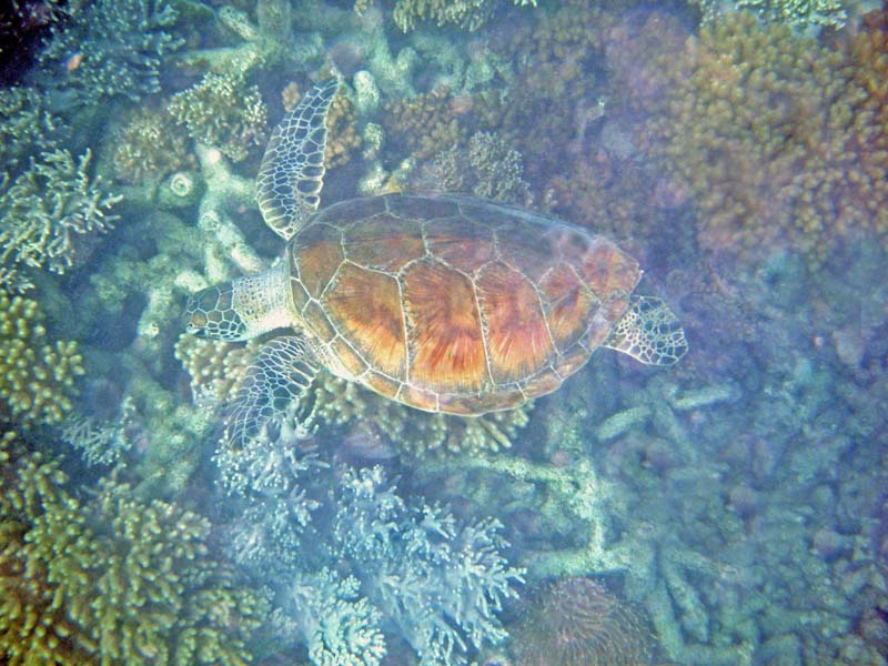 2012_0929Australia010066